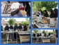 برپایی بازارچه دست ساخته های دانشجویی در محوطه  آموزشکده ملی مهارت  دختران ساری، 