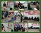 برگزاری دوره آموزشی کمکهای اولیه پایه در آموزشکده ملی مهارت دختران ساری  