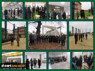 بازدید هیات عالی دانشگاه ملی مهارت کشور از دانشکده ملی مهارت دختران ساری زیر بارش باران 2