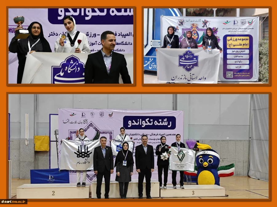 کسب مدال طلا در رشته تکواندو توسط دانشجوی آموزشکده ملی مهارت دختران ساری  2