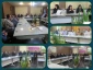برگزاری جلسه شورای اداری در آموزشکده ملی مهارت دختران ساری